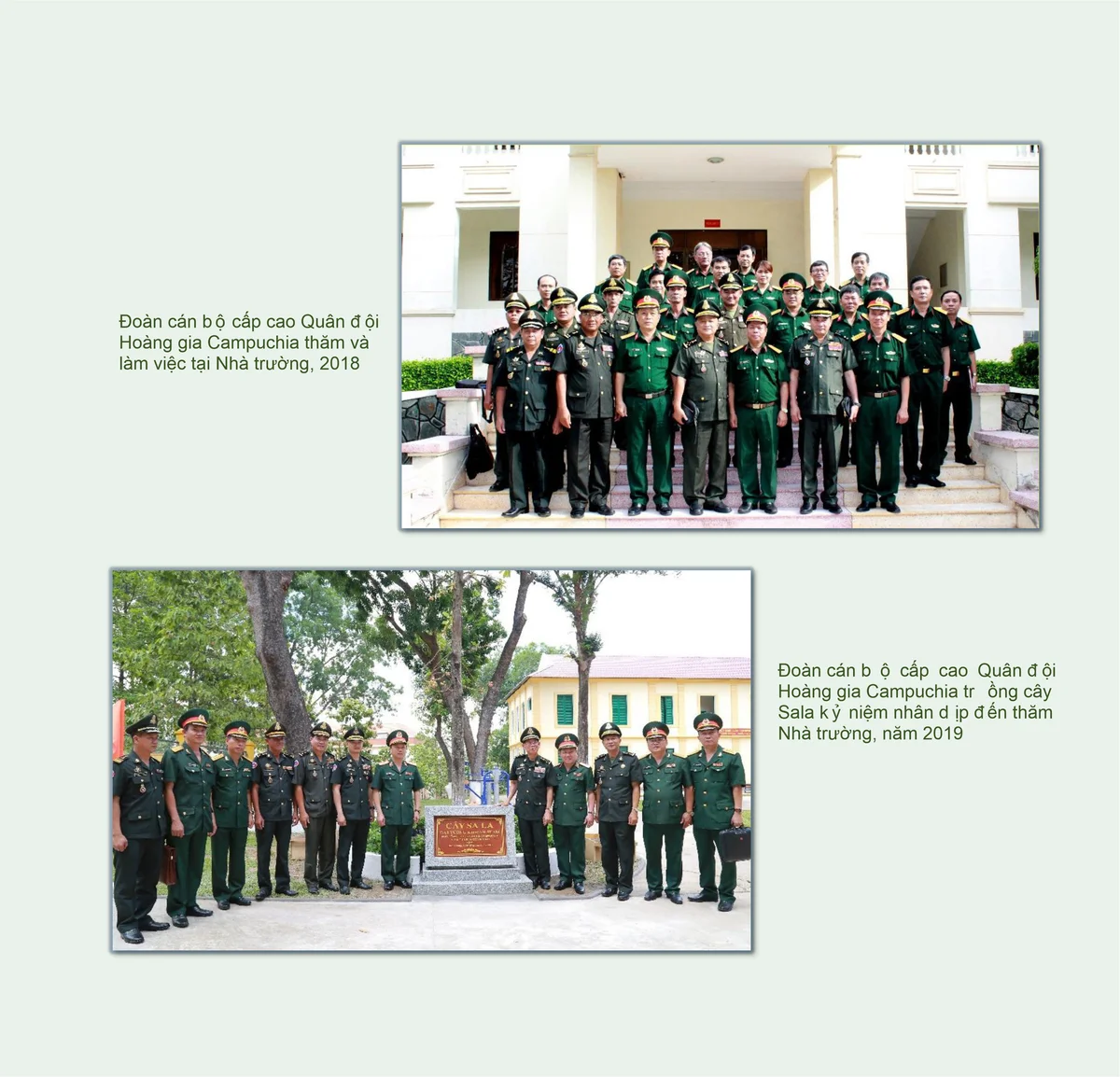 Hoạt động đối ngoại